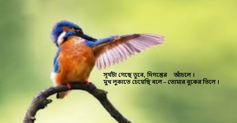 অসাধারণ কিছু স্ট্যাটাস