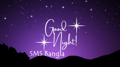 Good night SMS Bangla