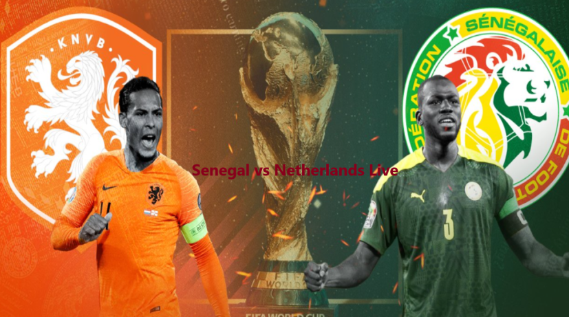 Senegal vs Netherlands Live